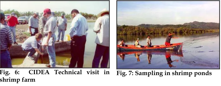 Fig. 6:  CIDEA Technical visit in  shrimp farm 