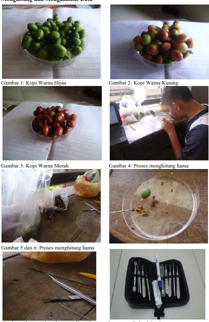 Gambar 7 dan 8 : Alat- alat yang digunakan untuk menganalis buah kopi 