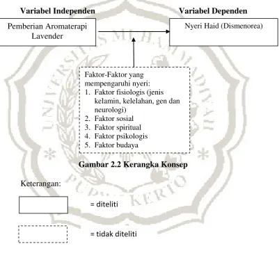 Gambar 2.2 Kerangka Konsep 