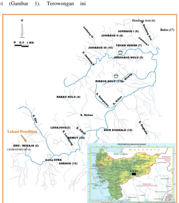 Gambar  1.  Lokasi  penelitian  di  terowongan  Eko-Remaja,  Kalan  yang  secara  administrasi  termasuk  ke  dalam  Kabupaten Melawi, Kalimantan Barat