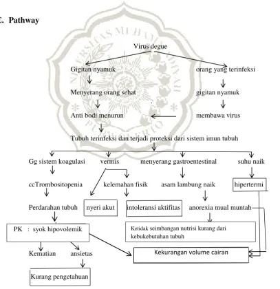 Gambar 2.3 Pathway 