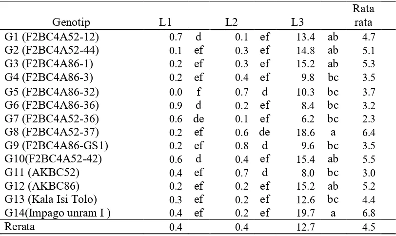 Tabel 7. Penampilan rata-rata jumlah anakan non produktif (buah)  14 genotip  padi di 3 lokasi   