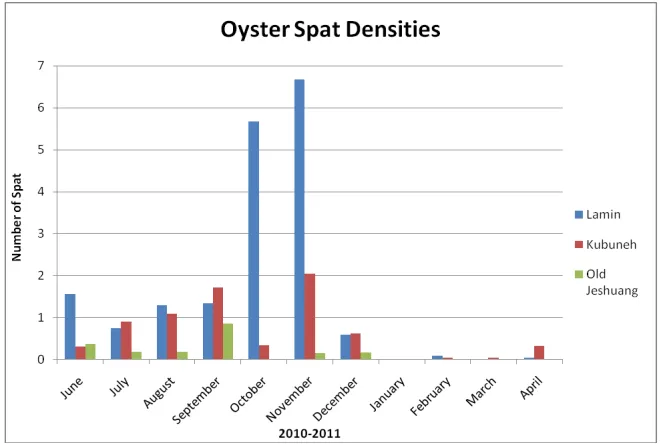 Figure 6. Density of oyster spat by month in the Tanbi Wetland National Park 