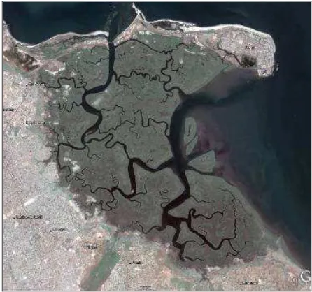 Figure 1. Satellite image of The Tanbi wetland area 