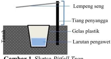 Gambar 1. Sketsa Pitfall Trap