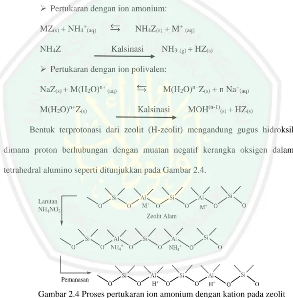 Gambar 2.4 Proses pertukaran ion amonium dengan kation pada zeolit  (Banon dan Suharto, 2008) 