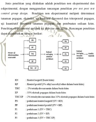 Gambar 3.1. Bagan rancangan penelitian pre test post test control group designsejumlah 30 ekor mencit jantan balb/c yang memenuhi kriteria inklusi dikelompokkan secara acak menjadi 5 kelompok
