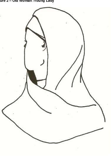 Figure 2 – Old Woman /Young Lady  