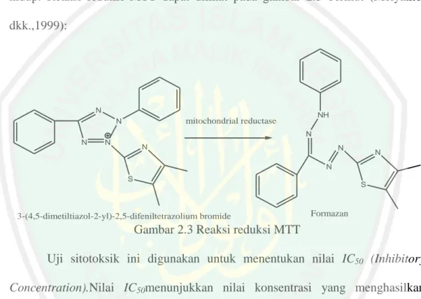 Gambar 2.3 Reaksi reduksi MTT 