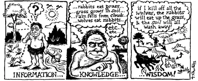 Gambar 2. Data, Information, Knowledge, dan Wisdom