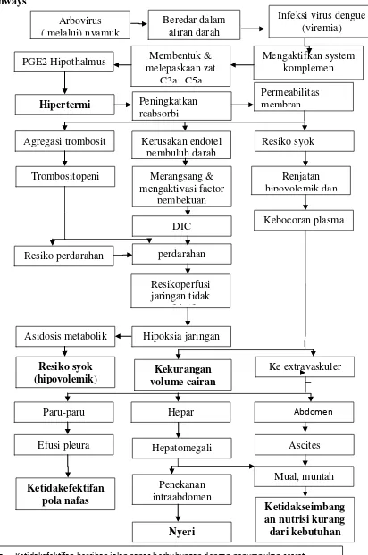 Gambar 3.Pathways DHF. ( sumber : Nurarif & Kusuma , 2013), Carpenito (2000, Wilkinson (2012)