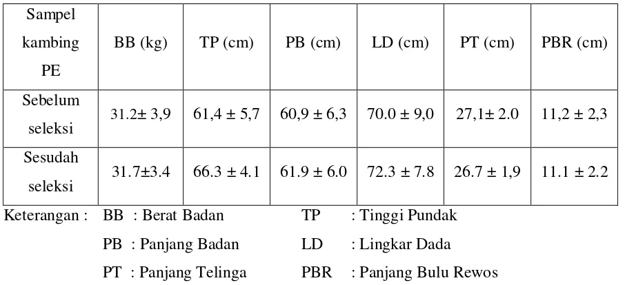Tabel 3.1 Ukuran-ukuran tubuh kambing PE betina umur 0,5-1 tahun sebelum dan 