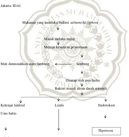 Gambar 2.7 Soedarmo, Sumarmo S Poorwo, dkk. 2012. Buku Ajar Infeksi & Pediatri Tropis