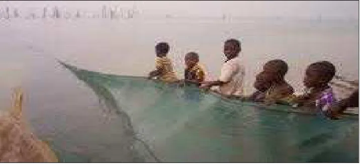 Figure 2:  Children hauling heavy net 