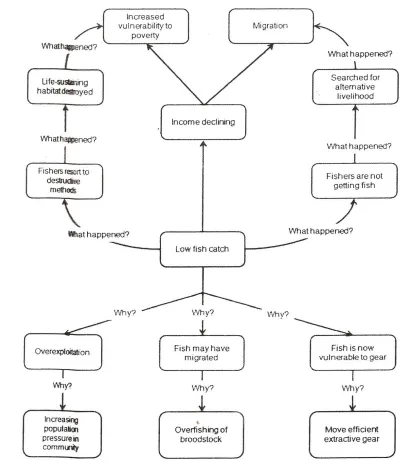 Figure 6: Problem Tree (Source: PHE Youth Peer Education: A Guide for Training Peer Educatoars Working on PHE Activities PILOT DRAFT 