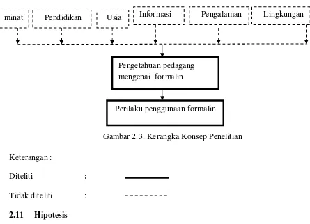 Gambar 2.3. Kerangka Konsep Penelitian 