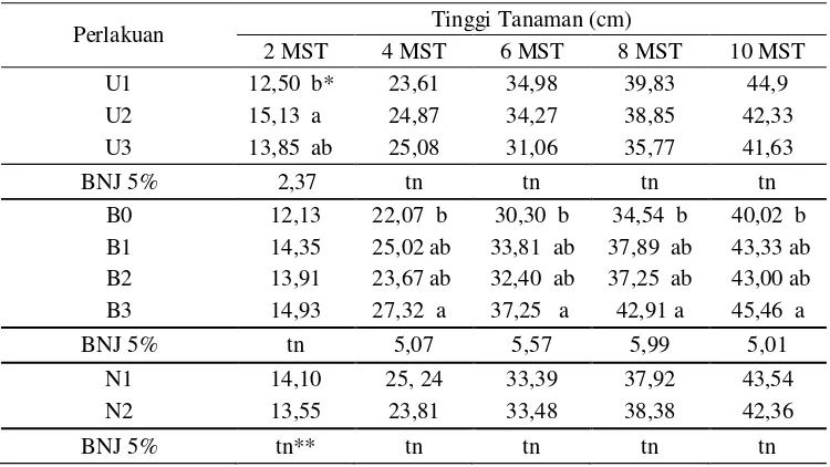 Tabel 2.Rerata Tinggi Tanaman Bawang Merah (cm) pada Perlakuan variasi Ukuran Umbi Bibit (U), Dosis Pupuk Bokashi (B) dan Nitrogen (N) 