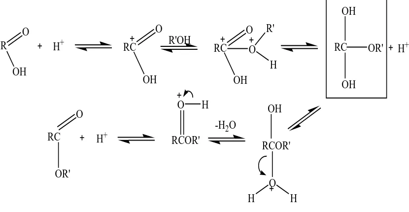 Gambar 2.3. Mekanisme Reaksi Esterifikasi Asam Lemak dengan Katalis Asam 