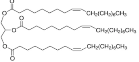 Gambar 2.6. Struktur Molekul 1,2,3-Trioleilgliserol (Alfred, T., 2002). 