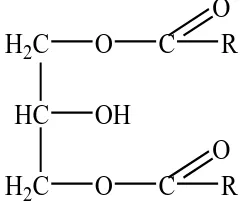 Gambar 2.5. Struktur Molekul 1,3-digliserida (Watanabe,dkk, 2003)