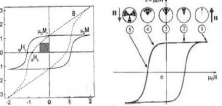 Gambar 2.3. (a) Kurva Histerisis  Bpada kurva histerisis (Bortotti, 1998)   vs H dan M vs H (b) Arah spin magnetik  