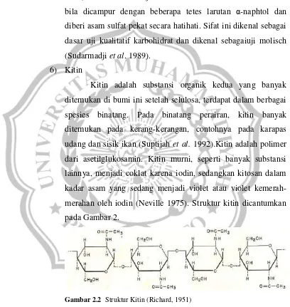 Gambar 2.2  Struktur Kitin (Richard, 1951) 