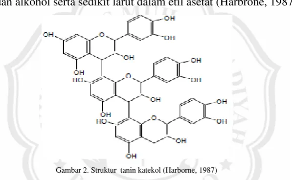 Gambar 2. Struktur  tanin katekol (Harborne, 1987) 