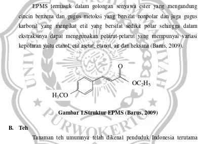 Gambar 1.Struktur EPMS (Barus, 2009) 