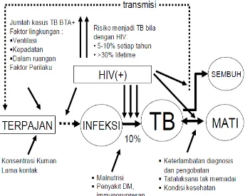 Gambar 1. Faktor Risiko Kejadian TB dan  riwayat alamiah 