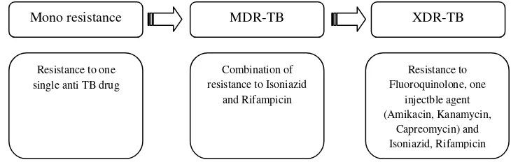 Gambar 2.Tahapan perkembangan TB resistensi OAT 