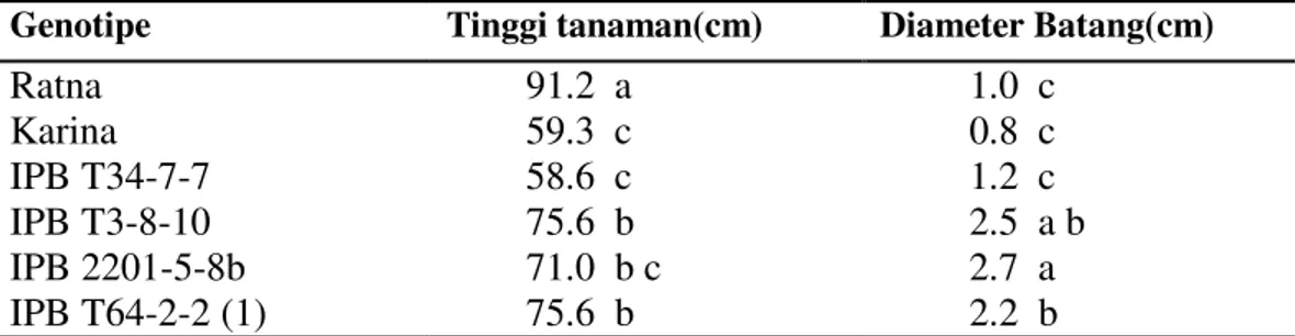 Tabel  1.  Tinggi  tanaman  dan  diameter  batang  4  galur  dan  2  varietas  tomat  yang   diuji 