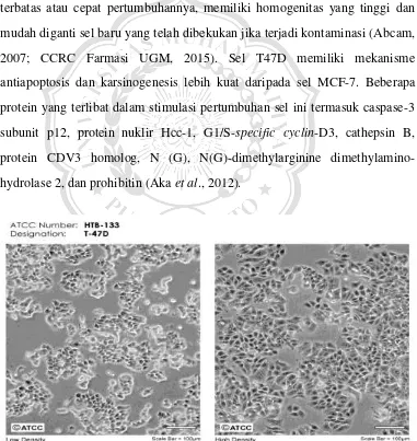 Gambar 2.1. Morfologi sel T47D (Sumber: ATCC)  