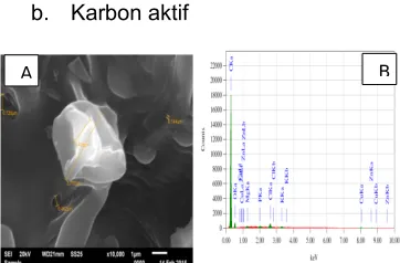 Gambar  EDX  dari  karbon  aktif