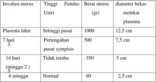 Tabel 2.8 Involusi uterus pada masa nifas 