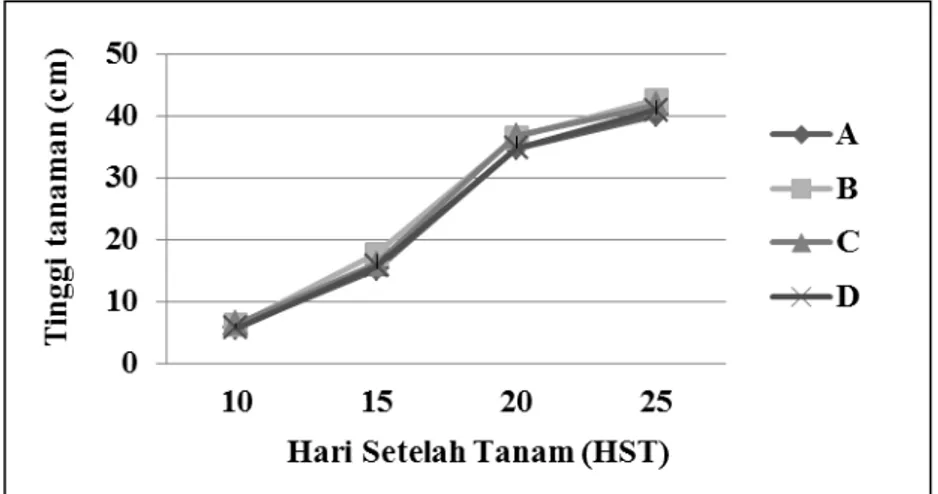 Gambar 1. Grafik tinggi tanaman kangkung menurut umur.