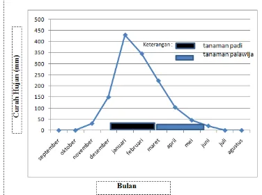 Gambar 3. Alternatif 1 Sekenario Pola Tanam Pada Musim Tanam 2015-2016. 