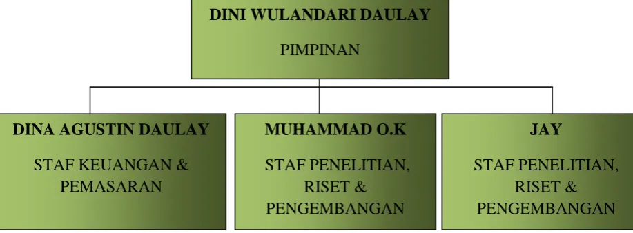 Gambar 2.4 Struktur Organisasi “Durian Seed” Centre 
