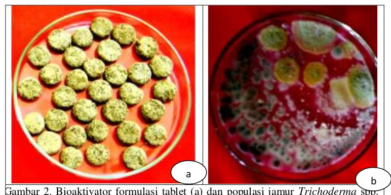 Gambar 2. Bioaktivator formulasi tablet (a) dan populasi jamur Trichoderma spp. b 