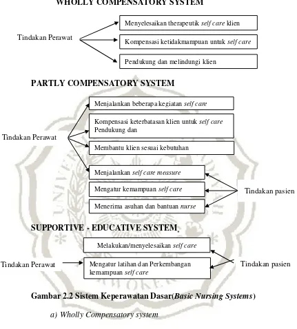 Gambar 2.2 Sistem Keperawatan Dasar(Basic Nursing Systems) 
