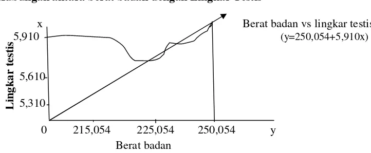 Grafik 1. Korelasi berat badan dengan lingkar testis sapi Bali. 
