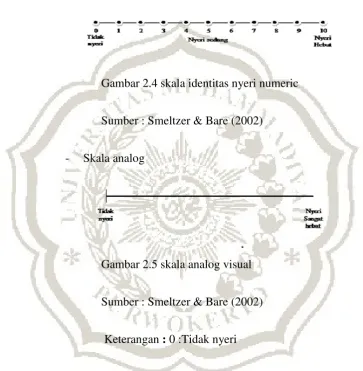 Gambar 2.4 skala identitas nyeri numeric 