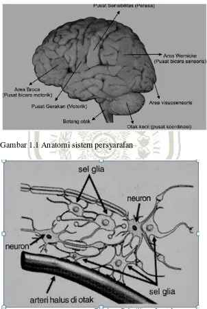 Gambar 1.1 Anatomi sistem persyarafan 