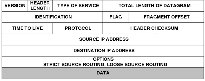 Gambar format datagram IP 
