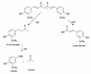 Gambar 4. Contoh produk degradasi kurkumin pada pH alkali (Stankovic, 2004)
