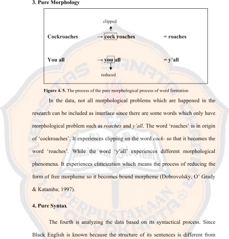 Figure 4. 5. The process of the pure morphological process of word formation 