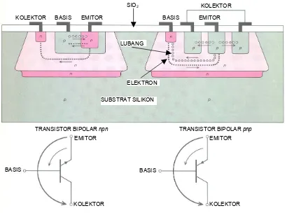 Gambar 10.8  Skema transistor bipolar npn dan pnp pada wafer kristal silikon (Freeman, 1997) 