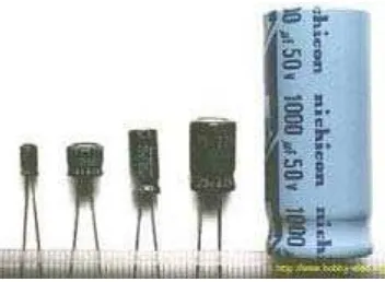 Gambar 2.6   Electrolytic Capacitor (ELCO) 