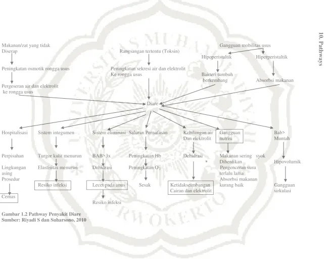 Gambar 1.2 Pathway Penyakit Diare 