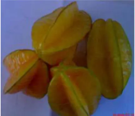 Gambar 1. Buah belimbing yang digunakan untuk pembuatan sari buah belimbing