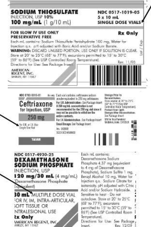 Gambar 1. Label BUD sediaan injeksi Potassium Phosphate dalam larutan Dextrose 5%